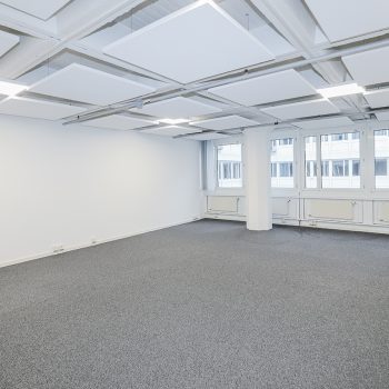 Av Cardinal-Mermillod 36 - 1227  Carouge-Genève