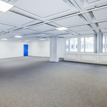 Av Cardinal-Mermillod 36 - 1227  Carouge-Genève