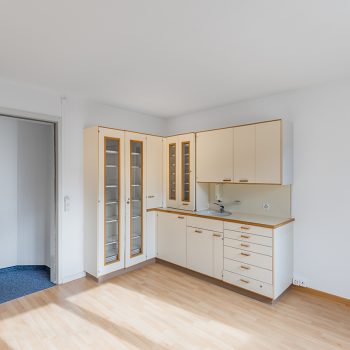 Hofwiesenstrasse 314, Zürich