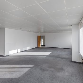 Schaffhauserstrasse 481