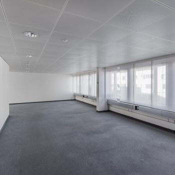 Schaffhauserstrasse 481