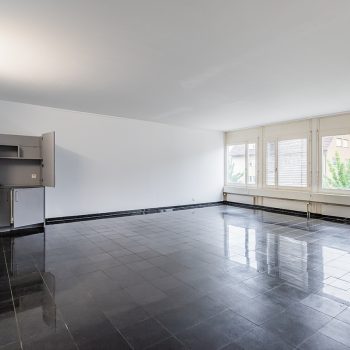 Schaffhauserstrasse 481