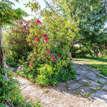 Segantinistrasse 150, 8049 Zürich